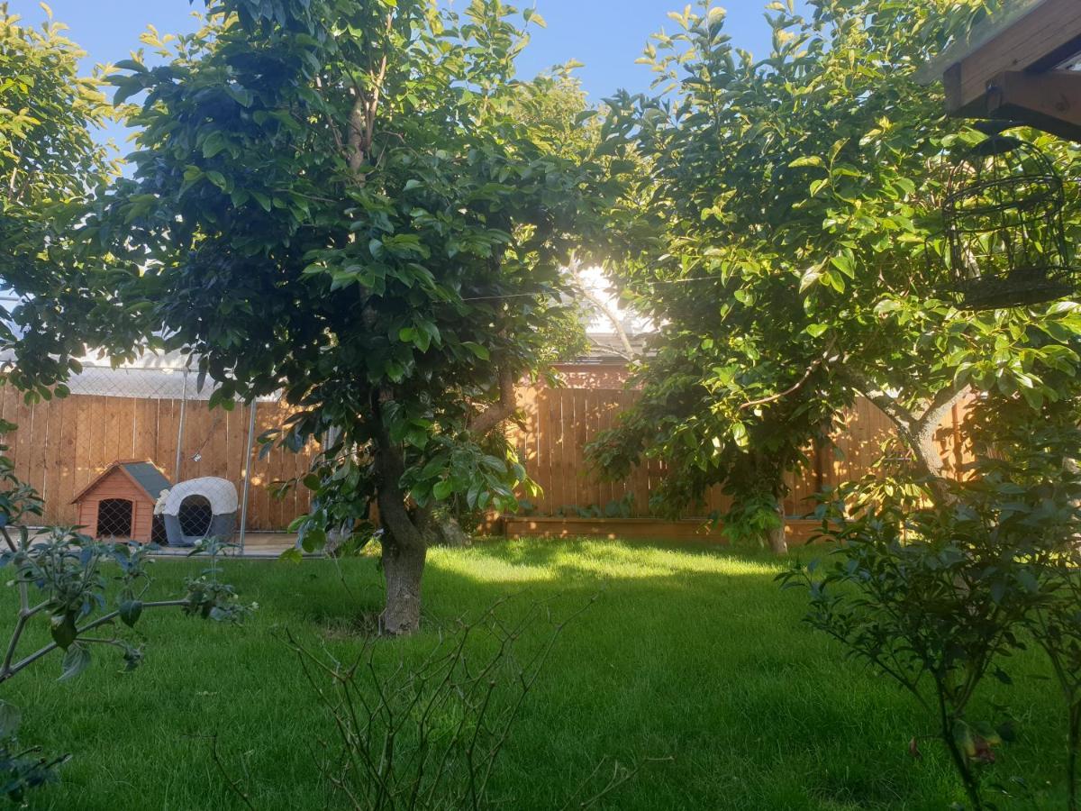 Bed N Breakfast On Pear Tree Lane Apartamento Hamilton Exterior foto